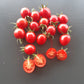 Canneberge Sucreé DER TOMATENFLÜSTERER