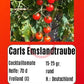 Carls Emslandtraube DER TOMATENFLÜSTERER