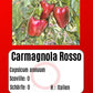 Carmagnola Rosso DER TOMATENFLÜSTERER