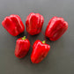 Carmagnola Rosso DER TOMATENFLÜSTERER