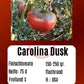 Carolina Dusk DER TOMATENFLÜSTERER