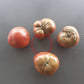 Carolina Dusk DER TOMATENFLÜSTERER