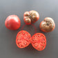 Carolina Dusk DER TOMATENFLÜSTERER