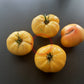 Casey Pure Yellow DER TOMATENFLÜSTERER
