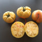 Casey Pure Yellow DER TOMATENFLÜSTERER