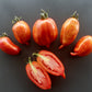 Cassady Royal Tiger DER TOMATENFLÜSTERER