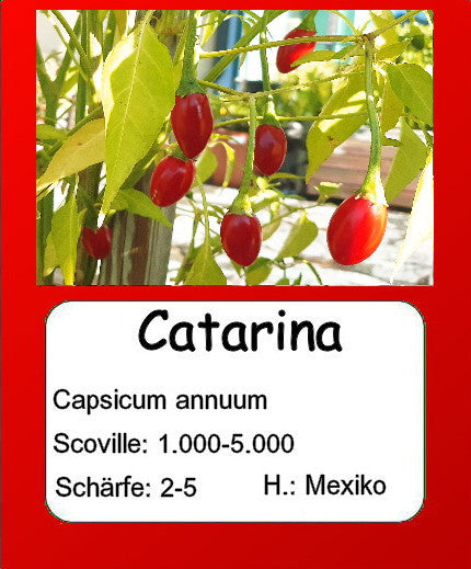 Catarina DER TOMATENFLÜSTERER