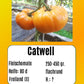 Catwell DER TOMATENFLÜSTERER