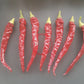 Cayenne Long Slim DER TOMATENFLÜSTERER