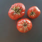 Chateau de Chartres DER TOMATENFLÜSTERER