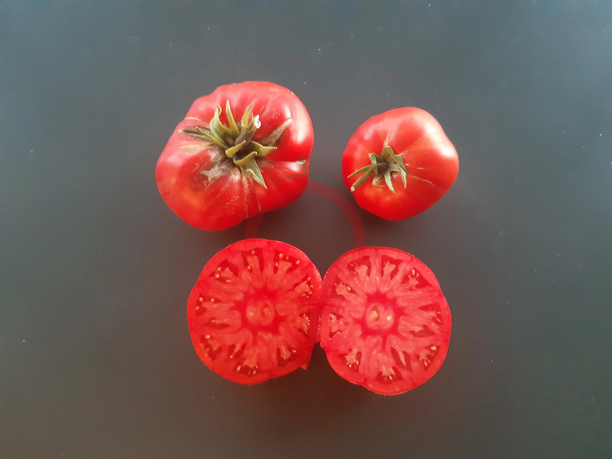 Chateau de Chartres DER TOMATENFLÜSTERER