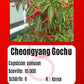 Cheongyang Gochu Chili DER TOMATENFLÜSTERER
