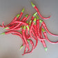 Cheongyang Gochu Chili DER TOMATENFLÜSTERER