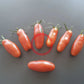 Cherevychky DER TOMATENFLÜSTERER