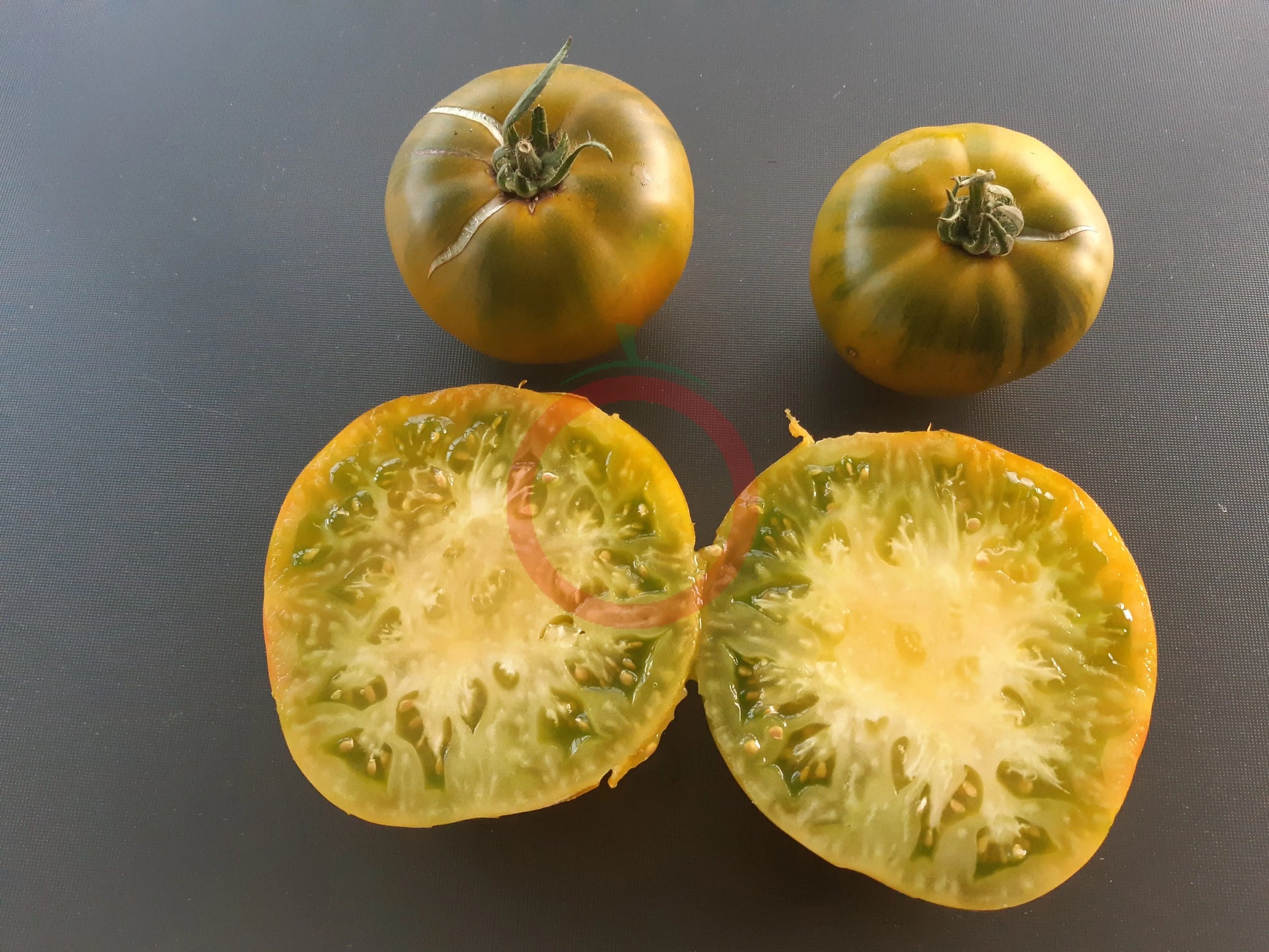 Cherokee Green DER TOMATENFLÜSTERER