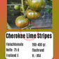 Cherokee Lime Stripes DER TOMATENFLÜSTERER