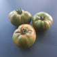 Cherokee Lime Stripes DER TOMATENFLÜSTERER