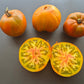 Cherokee Lime Stripes F3 ´Bronze´ (Kopie) DER TOMATENFLÜSTERER