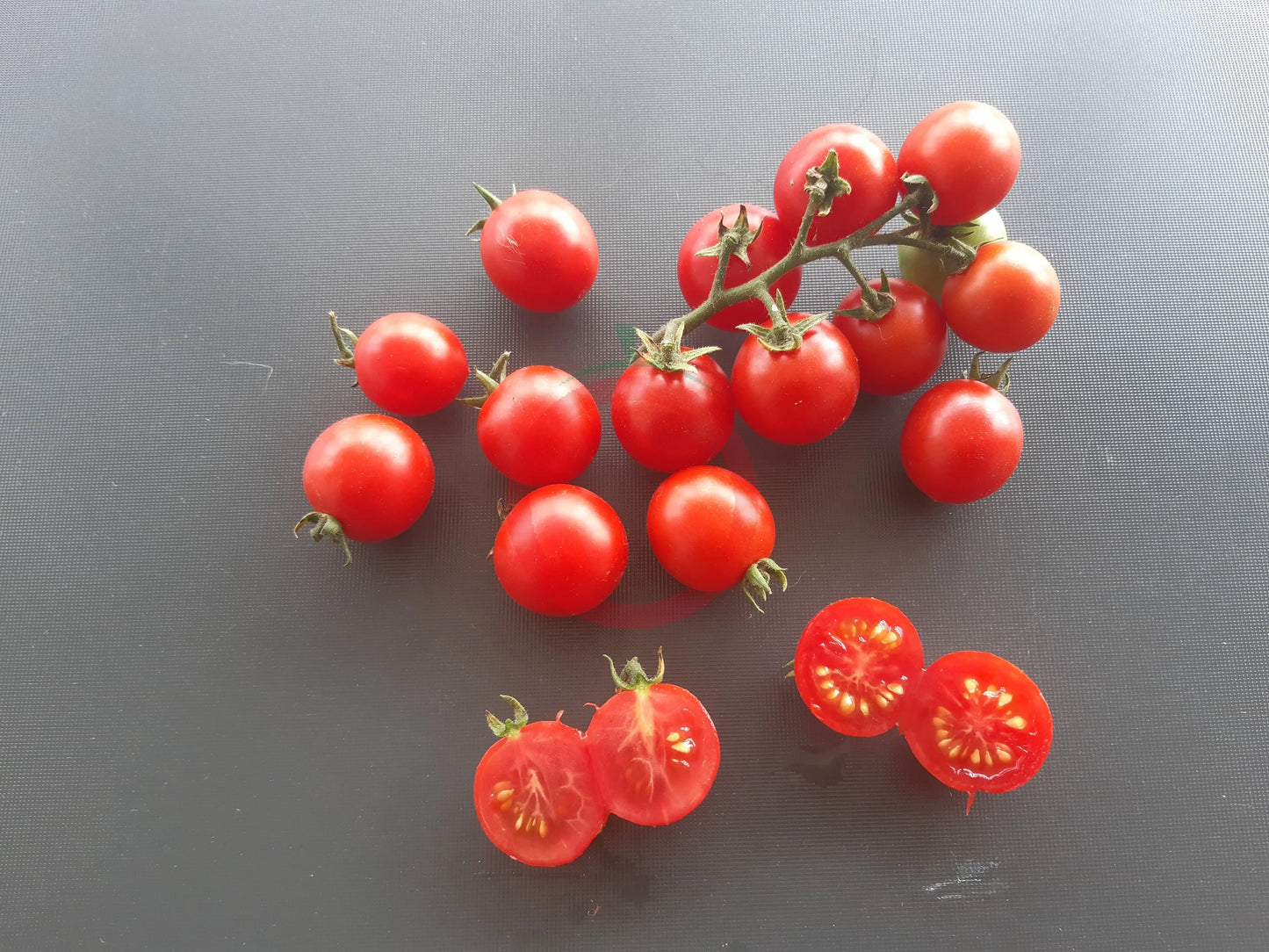 Cherry Falls DER TOMATENFLÜSTERER