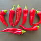 Chilcostle Rojo DER TOMATENFLÜSTERER