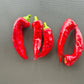 Chile de Agua DER TOMATENFLÜSTERER