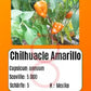 Chilhuacle Amarillo DER TOMATENFLÜSTERER