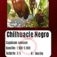Chilhuacle Negro DER TOMATENFLÜSTERER