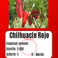 Chilhuacle Rojo DER TOMATENFLÜSTERER