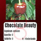Chocolate Beauty DER TOMATENFLÜSTERER