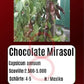 Chocolate Mirasol DER TOMATENFLÜSTERER