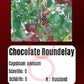 Chocolate Roundelay DER TOMATENFLÜSTERER