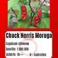 Chuck Norris Moruga Scorpion DER TOMATENFLÜSTERER