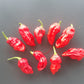 Chuck Norris Moruga Scorpion DER TOMATENFLÜSTERER