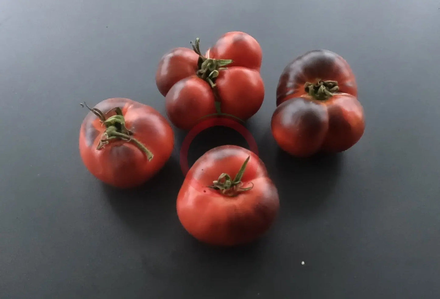 Chupa Chups Red DER TOMATENFLÜSTERER