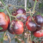 Chupa Chups Rose DER TOMATENFLÜSTERER