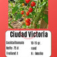 Ciudad Victoria DER TOMATENFLÜSTERER