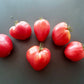 Coeur de Boeuf de Chancy DER TOMATENFLÜSTERER