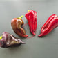 Comets Trail DER TOMATENFLÜSTERER