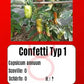 Confetti Typ 1 DER TOMATENFLÜSTERER