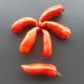 Corne de Belier DER TOMATENFLÜSTERER