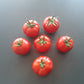 Costa Rica DER TOMATENFLÜSTERER