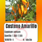 Costeno Amarillo DER TOMATENFLÜSTERER