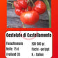Costoluto di Castellamonte DER TOMATENFLÜSTERER