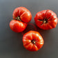 Costoluto di Castellamonte DER TOMATENFLÜSTERER