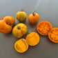 Cote d´Zebra DER TOMATENFLÜSTERER