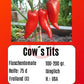 Cow´s Tits DER TOMATENFLÜSTERER