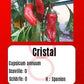 Cristal DER TOMATENFLÜSTERER