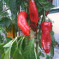 Cristal DER TOMATENFLÜSTERER