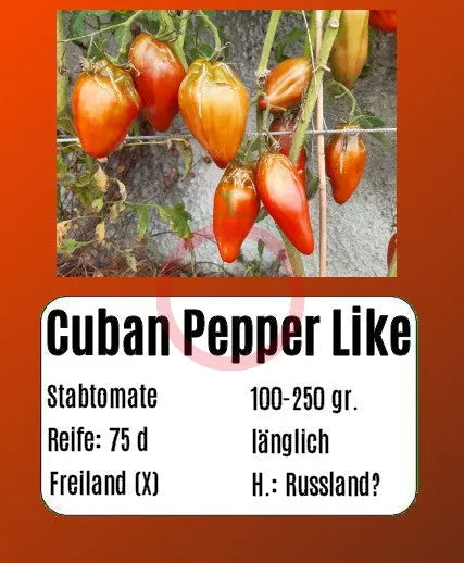 Cuban Pepper Like DER TOMATENFLÜSTERER