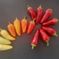 Dancing Spirits DER TOMATENFLÜSTERER